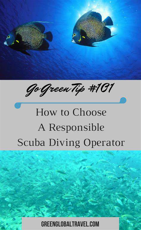 Marine Conservation: Diving into Responsible Ocean Travel