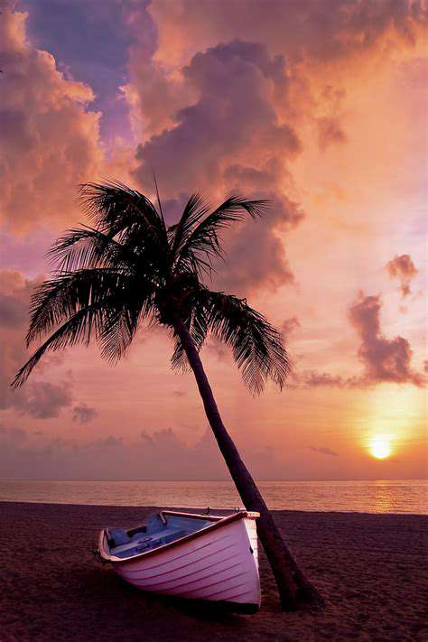 The Best Beaches for Relaxation and Sunbathing