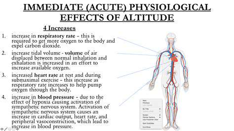ThePhysiologicalBenefitsofAltitude