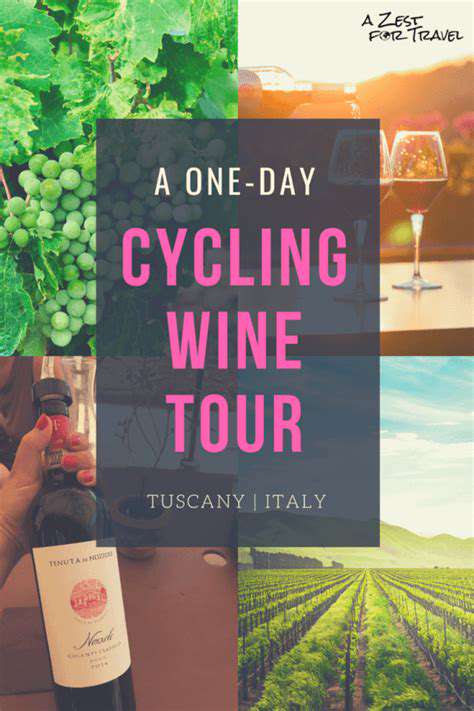 Cycling Tours Through European Vineyards