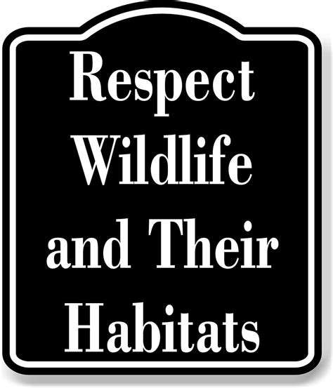 How to Leave No Trace: Principles for Outdoor Enthusiasts