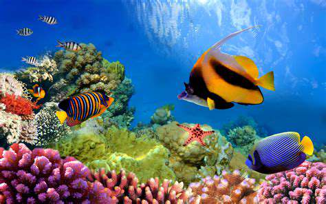 Scuba Diving Destinations: Underwater Wonders