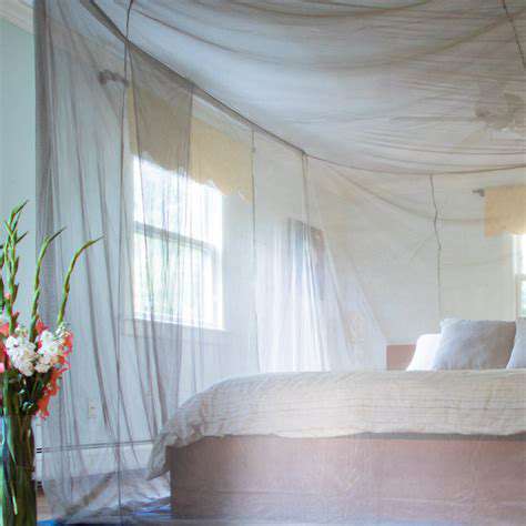 BeyondtheBed:HolisticWellnessExperiences