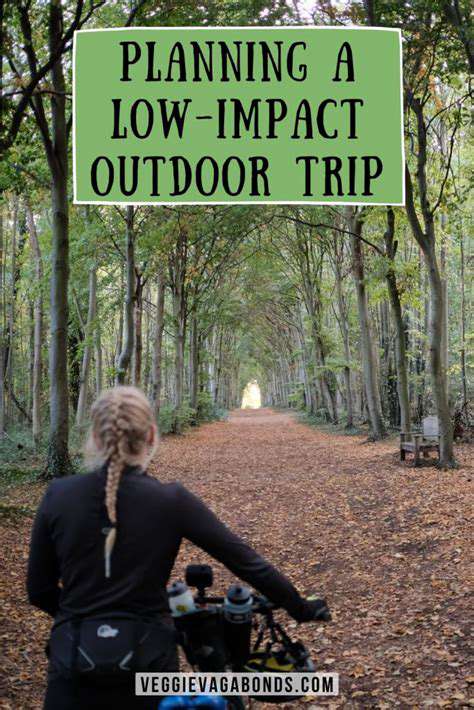Eco Conscious Adventures: Your Guide to Sustainable Travel