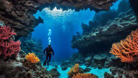 TheMajesticUnderwaterCavesoftheMaldives