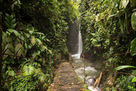 TrekkingThroughtheCloudForestsofEcuador