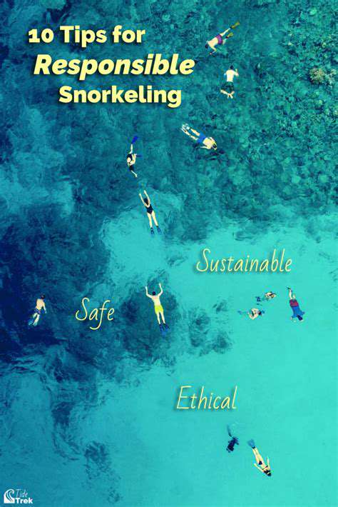 Protecting Marine Ecosystems While Snorkeling