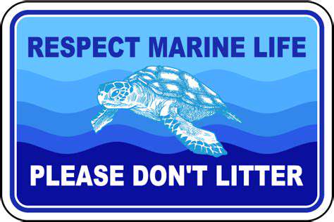 RespectingMarineLife:AvoidingDisturbances