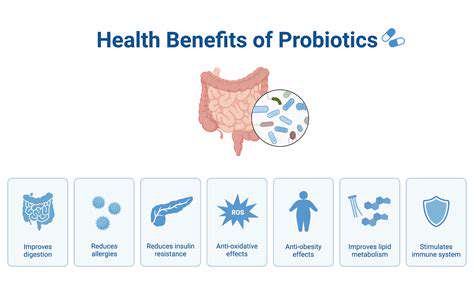 BeyondDigestion:TheBroaderBenefitsofProbioticsDuringTravel